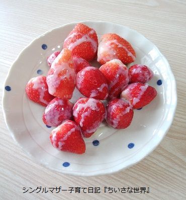 f:id:ponkotsu1215:20190523225817j:plain