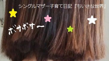 f:id:ponkotsu1215:20190526215920j:plain