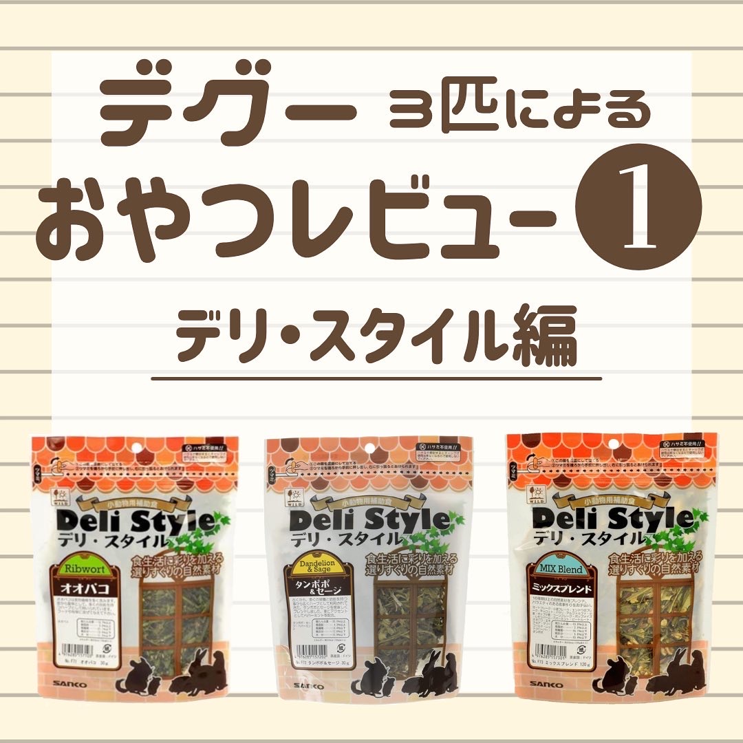 f:id:ponkotsu_jp:20220314162900j:plain