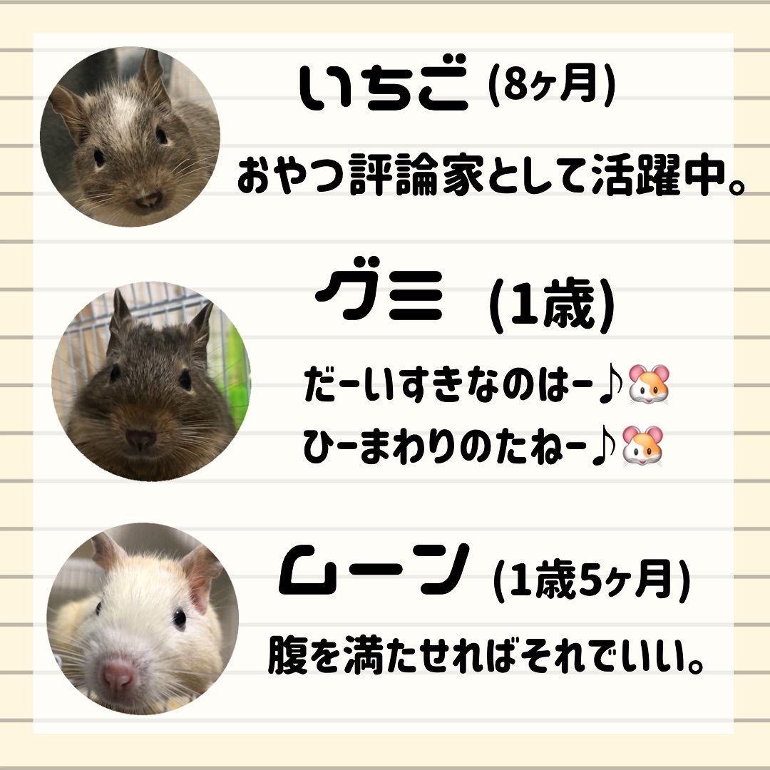 f:id:ponkotsu_jp:20220314162912j:plain