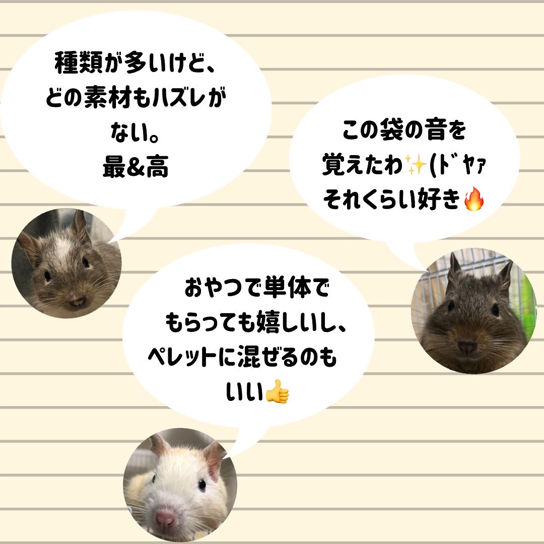 f:id:ponkotsu_jp:20220314163004j:plain