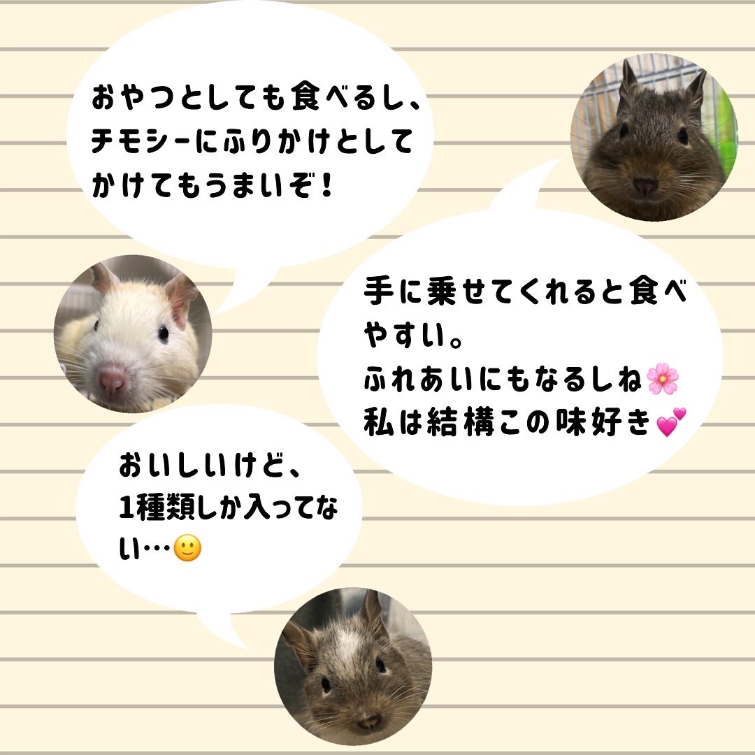 f:id:ponkotsu_jp:20220314163026j:plain