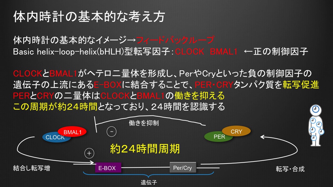 f:id:ponkotsuchang:20191203204228j:plain f:id:ponkotsuchang:20191203204228j:plain