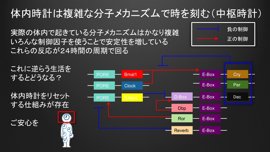 f:id:ponkotsuchang:20191203204249j:plain f:id:ponkotsuchang:20191203204249j:plain