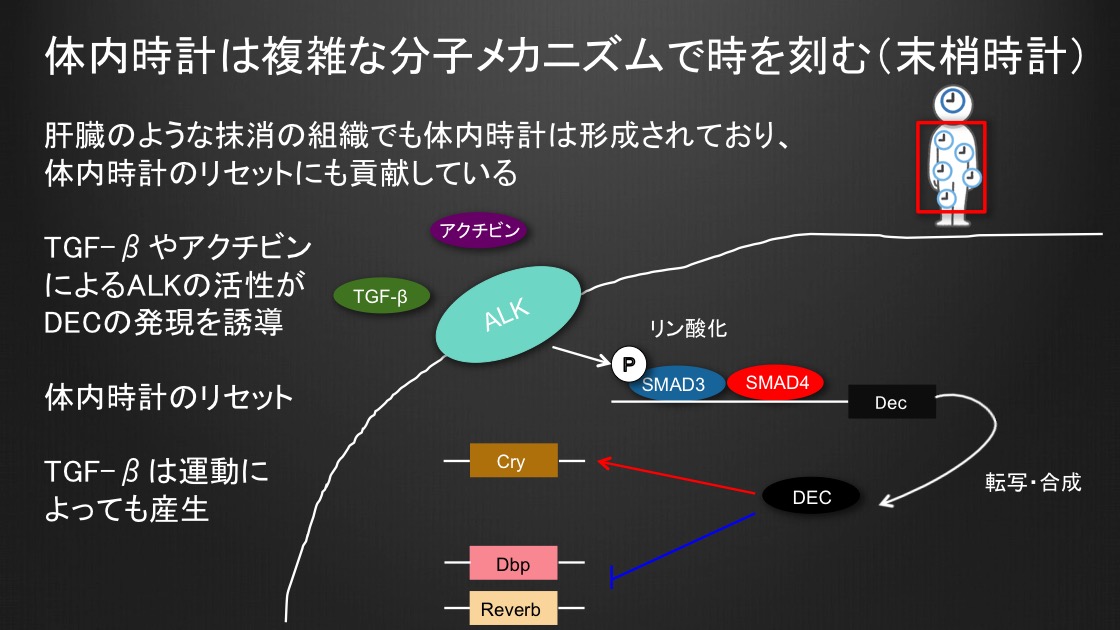 f:id:ponkotsuchang:20191203204417j:plain f:id:ponkotsuchang:20191203204417j:plain