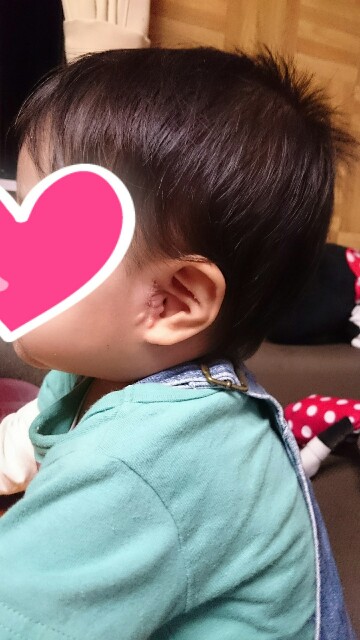 f:id:ponkotsumama:20170407115824j:image f:id:ponkotsumama:20170407115824j:image