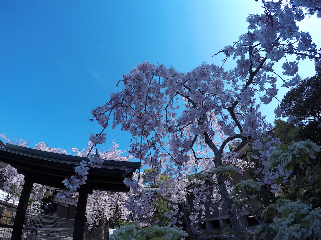 f:id:ponkotuhand:20170427113513j:image