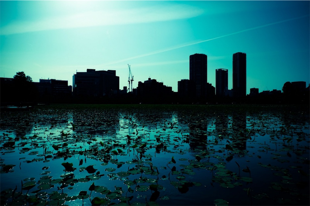 f:id:ponkotukko:20180504213826j:image f:id:ponkotukko:20180504213826j:image