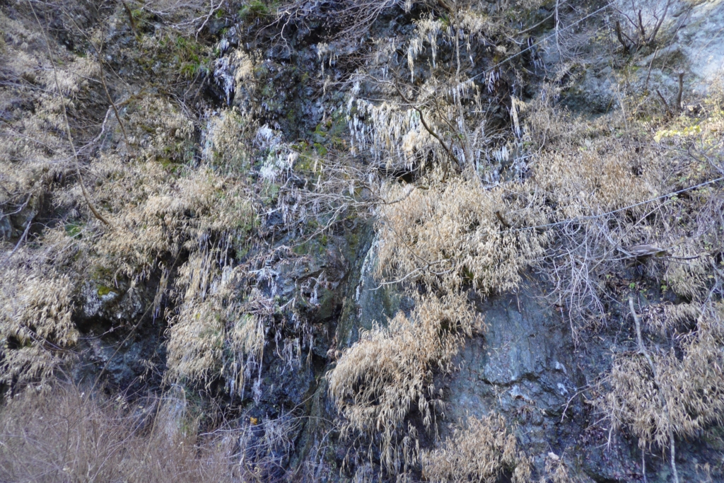 f:id:ponkotuy:20161217093917j:plain f:id:ponkotuy:20161217093917j:plain