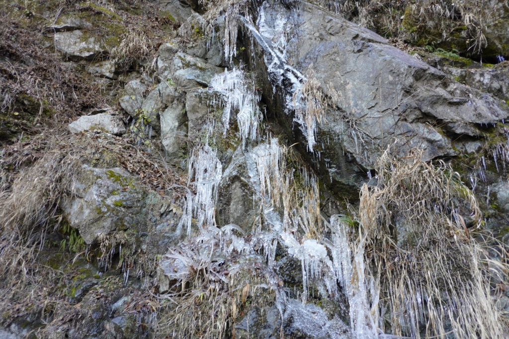 f:id:ponkotuy:20161217101058j:plain f:id:ponkotuy:20161217101058j:plain