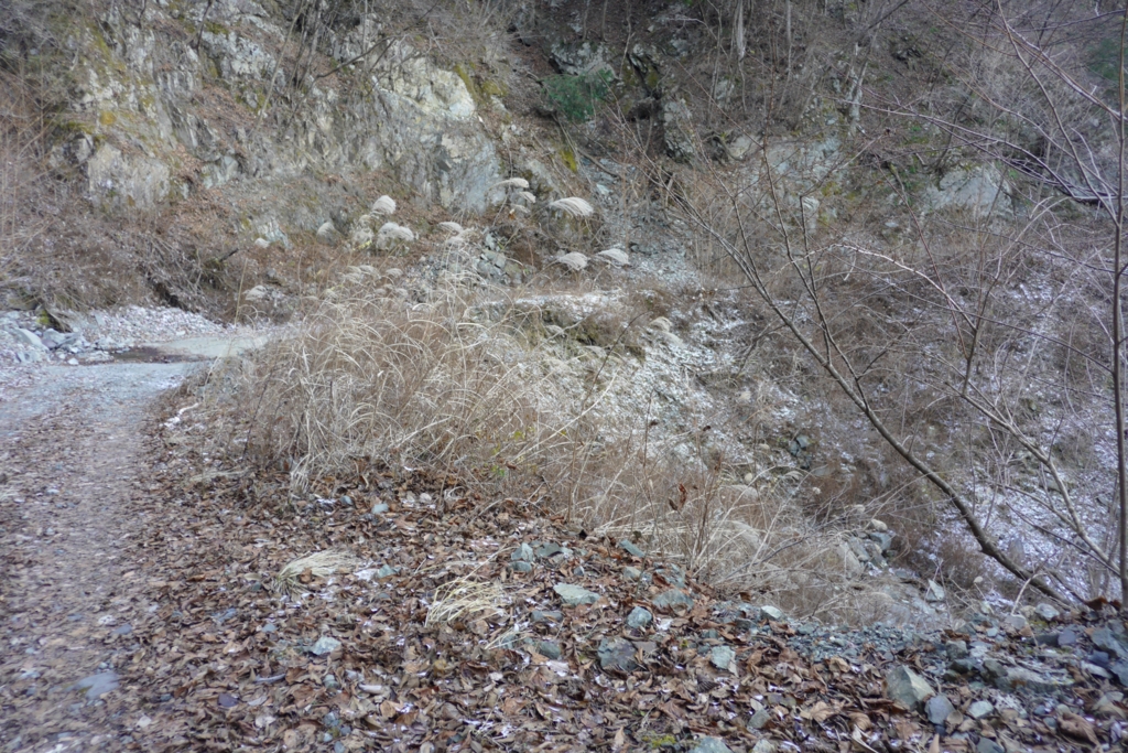 f:id:ponkotuy:20161217104404j:plain f:id:ponkotuy:20161217104404j:plain