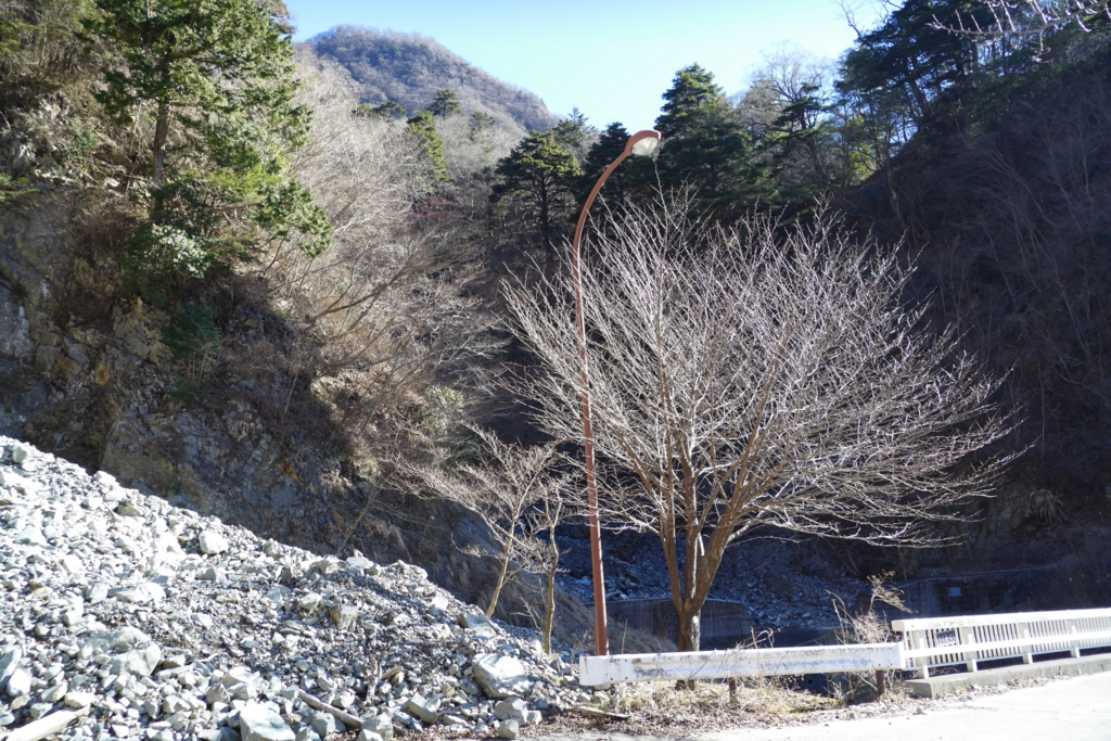 f:id:ponkotuy:20161217114302j:plain f:id:ponkotuy:20161217114302j:plain