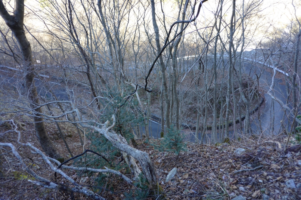 f:id:ponkotuy:20161217115409j:plain f:id:ponkotuy:20161217115409j:plain