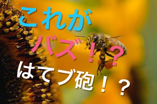 f:id:ponlab-blog:20160329180704j:plain