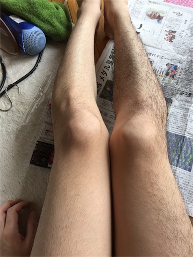 f:id:ponlab-blog:20160406175603j:plain