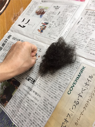 f:id:ponlab-blog:20160406175631j:image