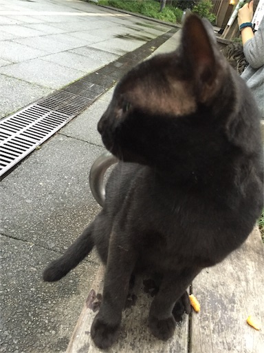 f:id:ponlab-blog:20160502013147j:image