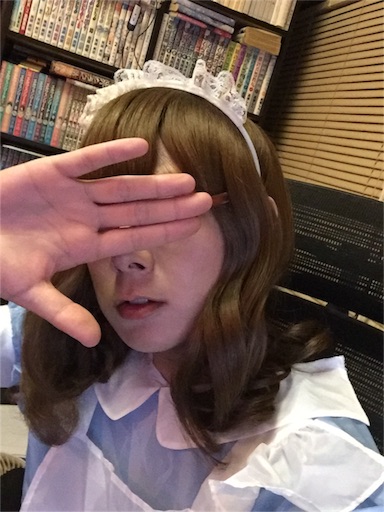 f:id:ponlab-blog:20160511025900j:image