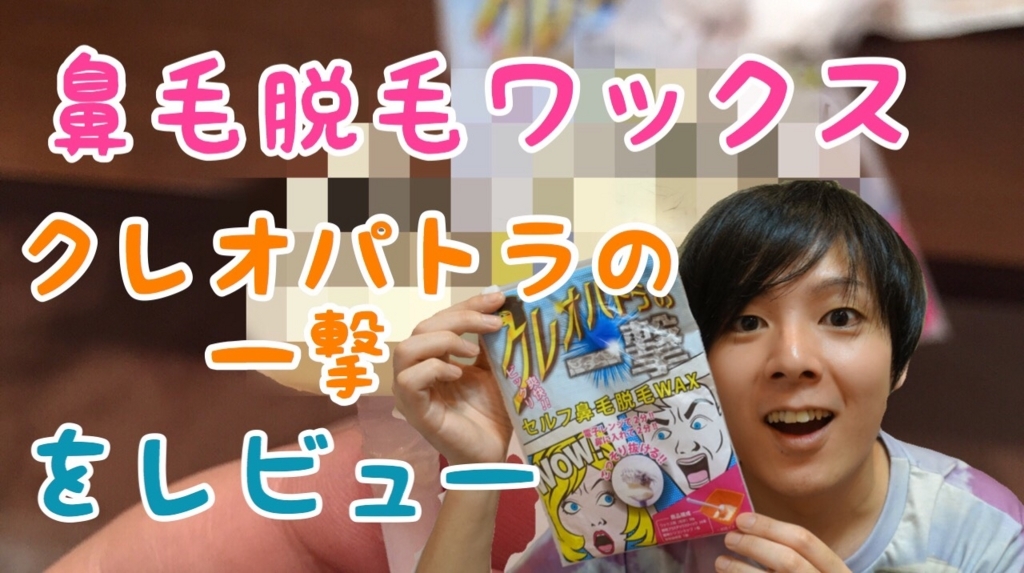 f:id:ponlab-blog:20170531015637j:plain