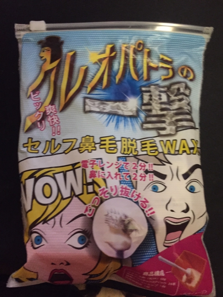 f:id:ponlab-blog:20170531015905j:plain