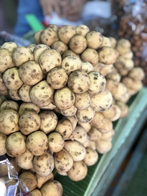 f:id:ponlamai6:20180618125518j:image
