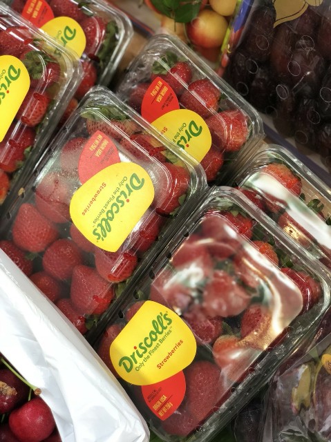 f:id:ponlamai6:20180713094216j:plain f:id:ponlamai6:20180713094216j:plain