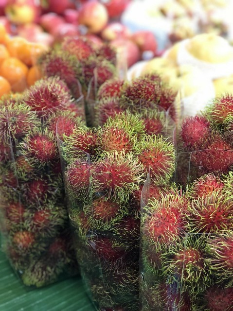 f:id:ponlamai6:20180910094737j:plain f:id:ponlamai6:20180910094737j:plain