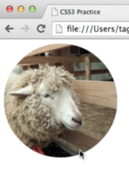 f:id:ponnkichi:20180223222103p:plain f:id:ponnkichi:20180223222103p:plain