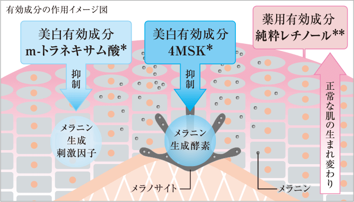 f:id:ponnozou:20210621111948p:plain