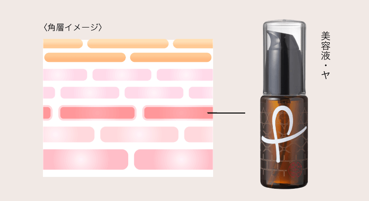 f:id:ponnozou:20211008105040p:plain