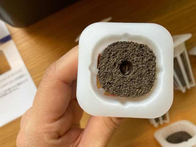LED水耕栽培キットIDOOのスポンジには種は3から4粒いれる