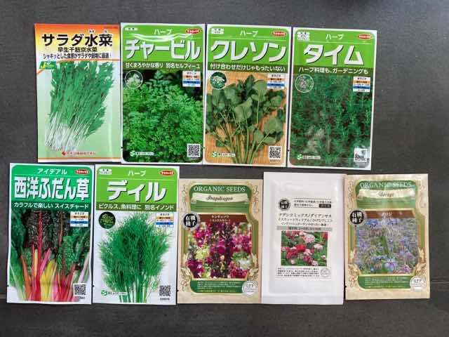 水耕栽培キットIDOO12株に植えたタネすべて