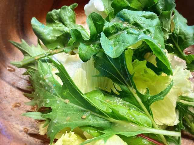 水耕栽培キットIDOOで育てた野菜はシャキシャキして新鮮