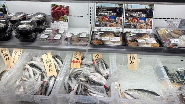 道の駅湘南ちがさきの鮮魚