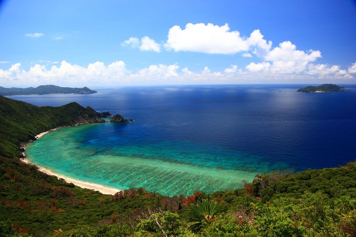 f:id:ponoponofarm:20200422103436j:plain