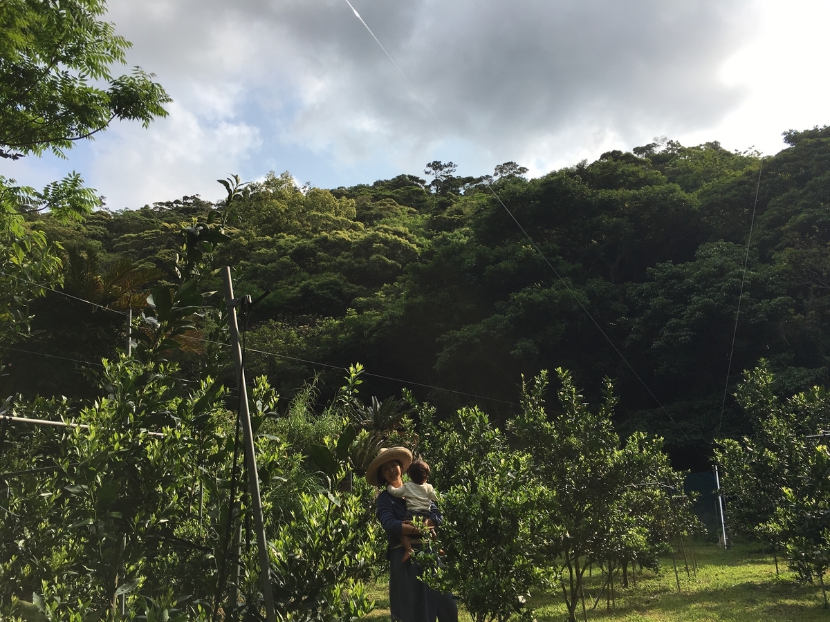 f:id:ponoponofarm:20200422105410j:plain