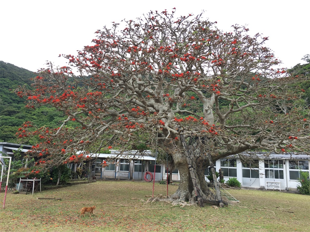 f:id:ponoponofarm:20200515165136j:plain