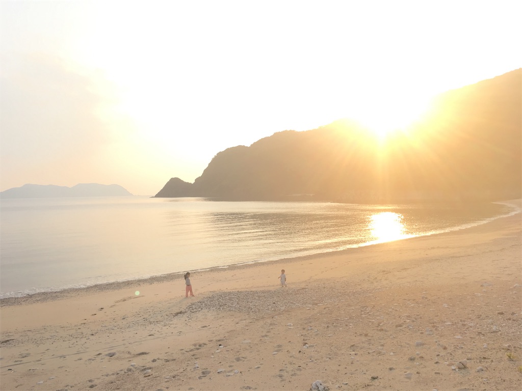 f:id:ponoponofarm:20200517145558j:image