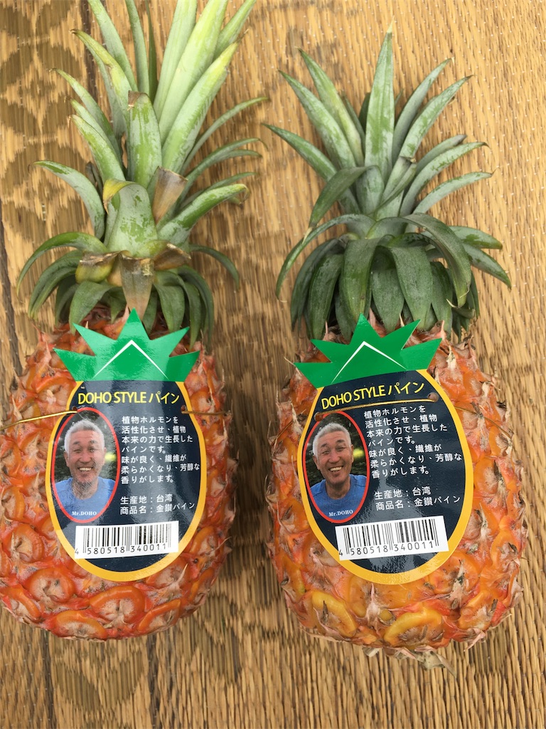 f:id:ponoponofarm:20200517145603j:plain