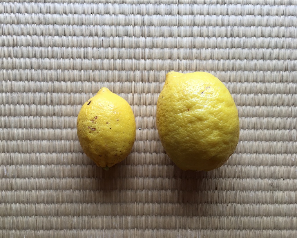 f:id:ponoponofarm:20200531144714j:image