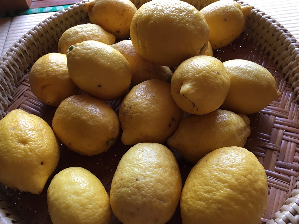 f:id:ponoponofarm:20200531144724j:image