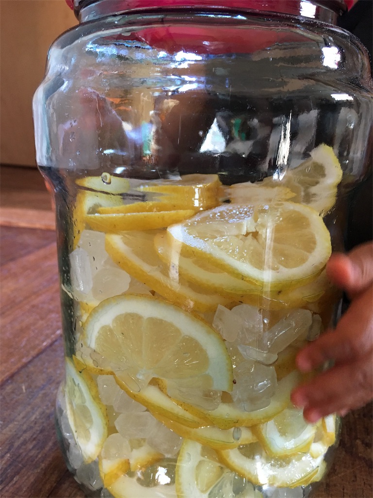 f:id:ponoponofarm:20200531152218j:image