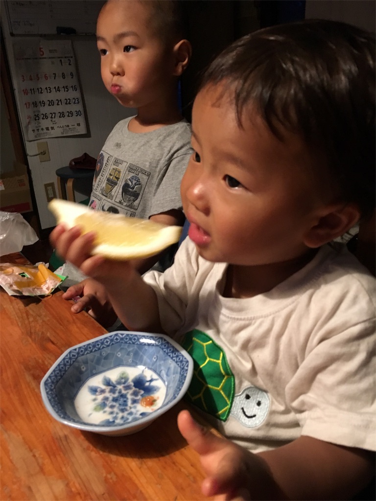 f:id:ponoponofarm:20200531152232j:plain