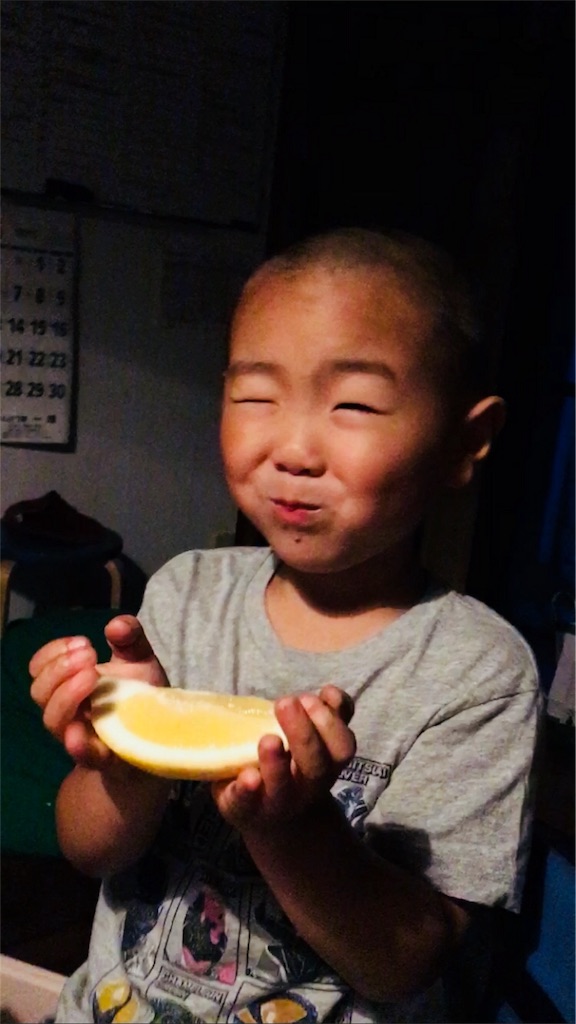 f:id:ponoponofarm:20200531152854j:plain