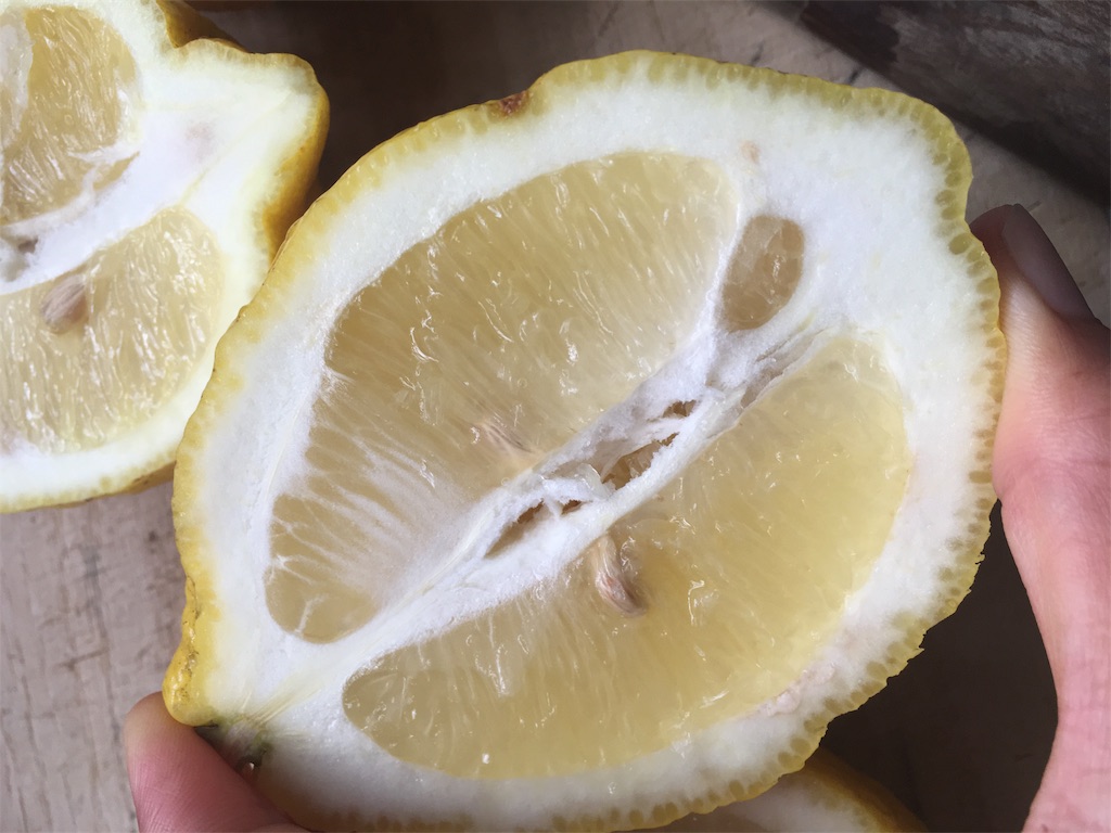 f:id:ponoponofarm:20200531202317j:image