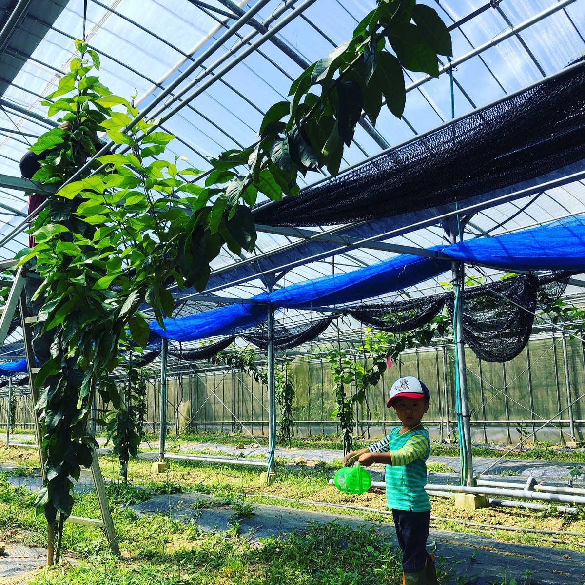 f:id:ponoponofarm:20210417161203j:plain