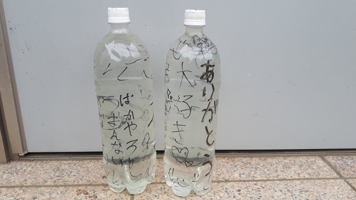 f:id:ponoponolife:20200617220104j:plain f:id:ponoponolife:20200617220104j:plain