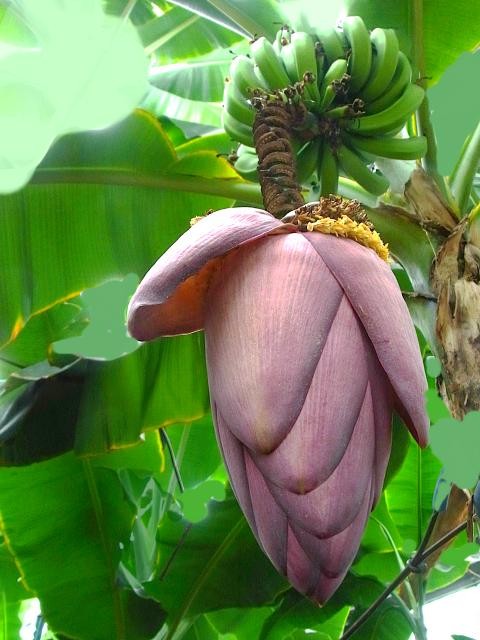 20110707205857