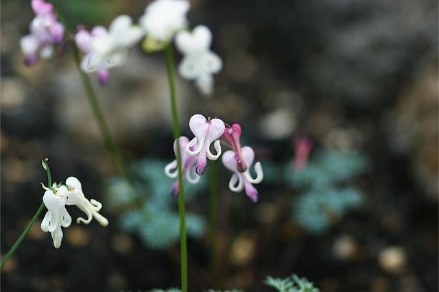 ５