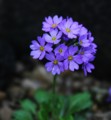 20150103095808